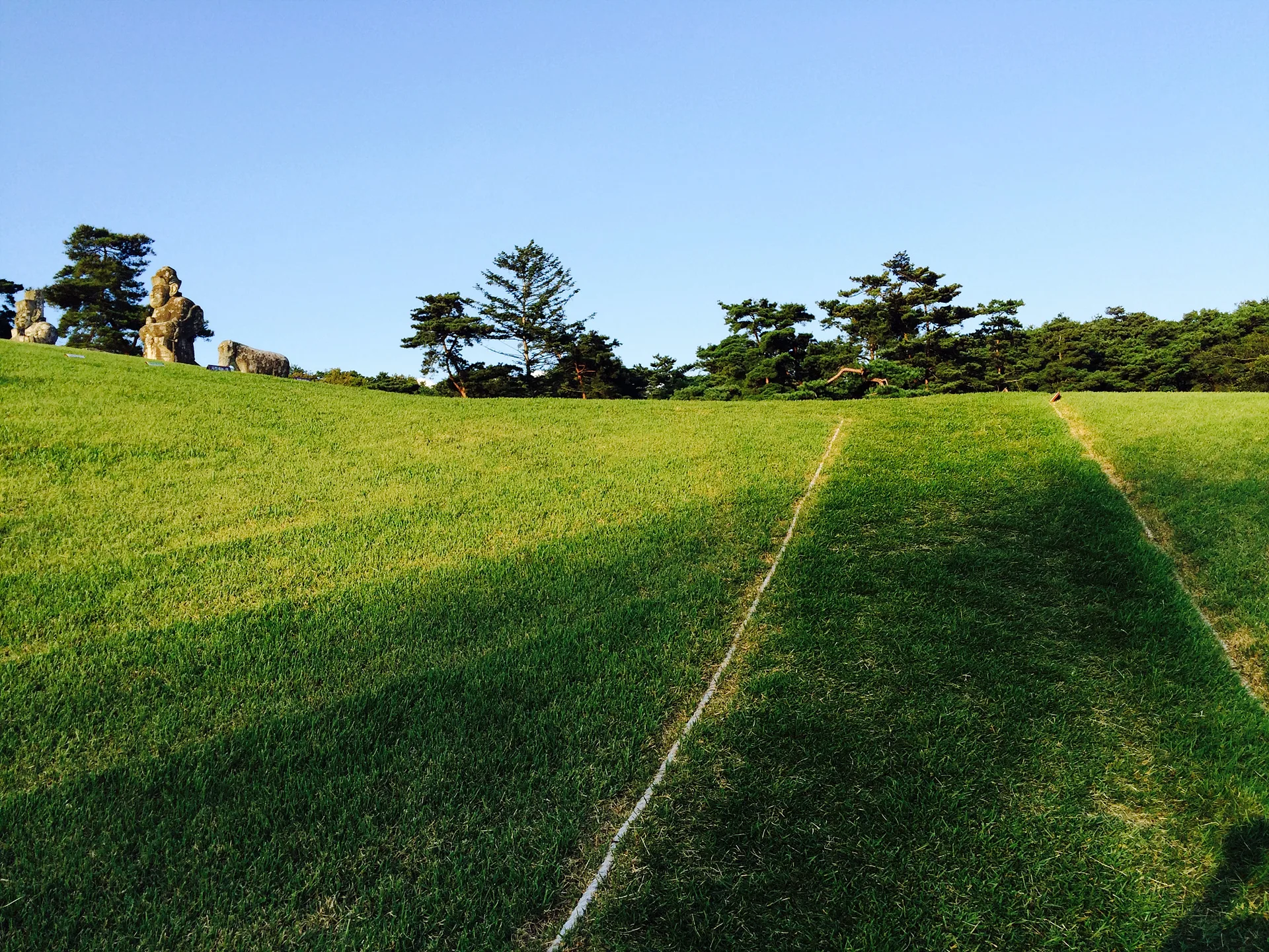 푸른 잔디 언덕과 울창한 소나무 숲의 조화 · 대한민국 · 2014-09-19