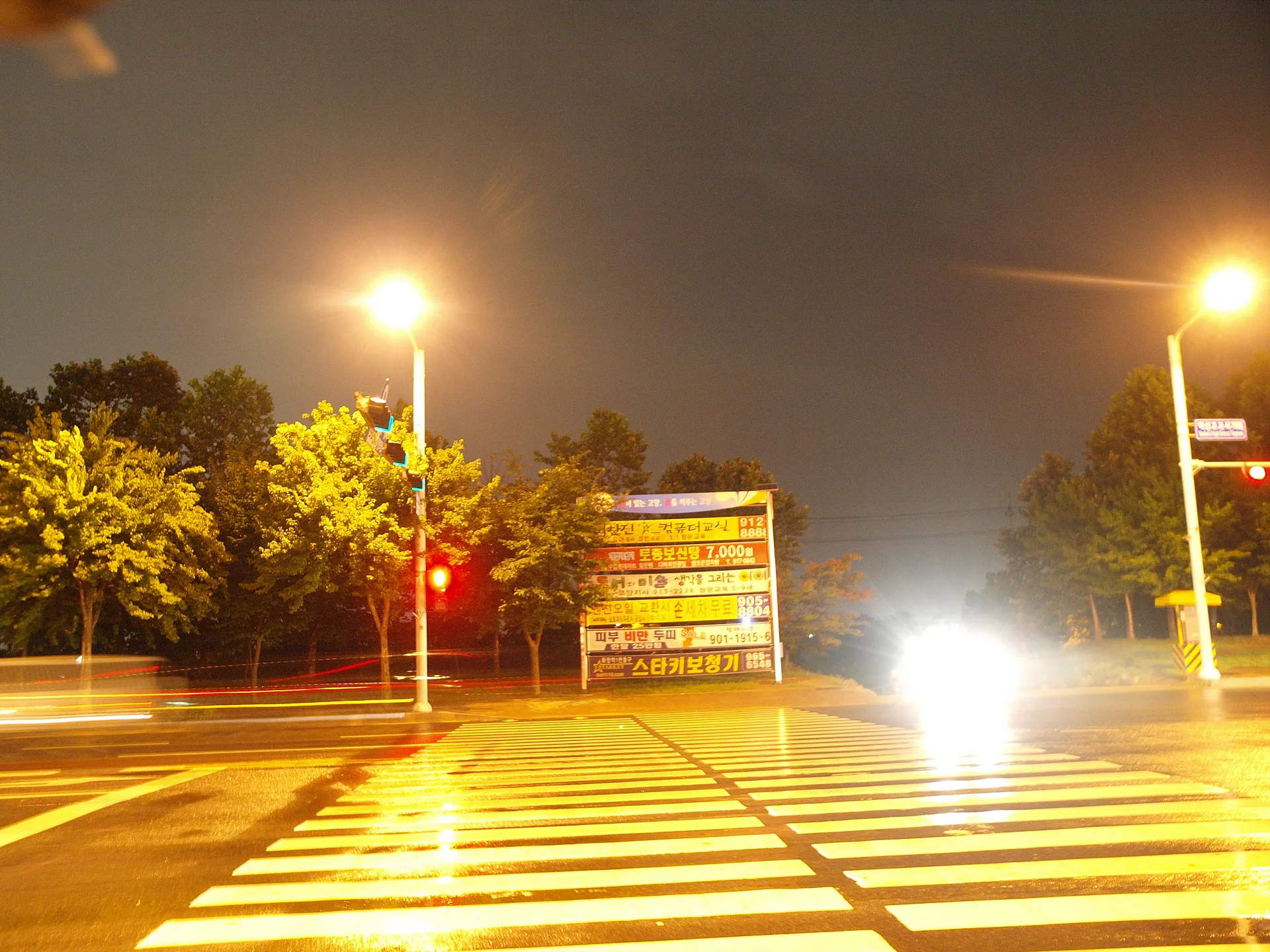 밤거리를 밝히는 가로등과 횡단보도의 빛 · 2009-07-13