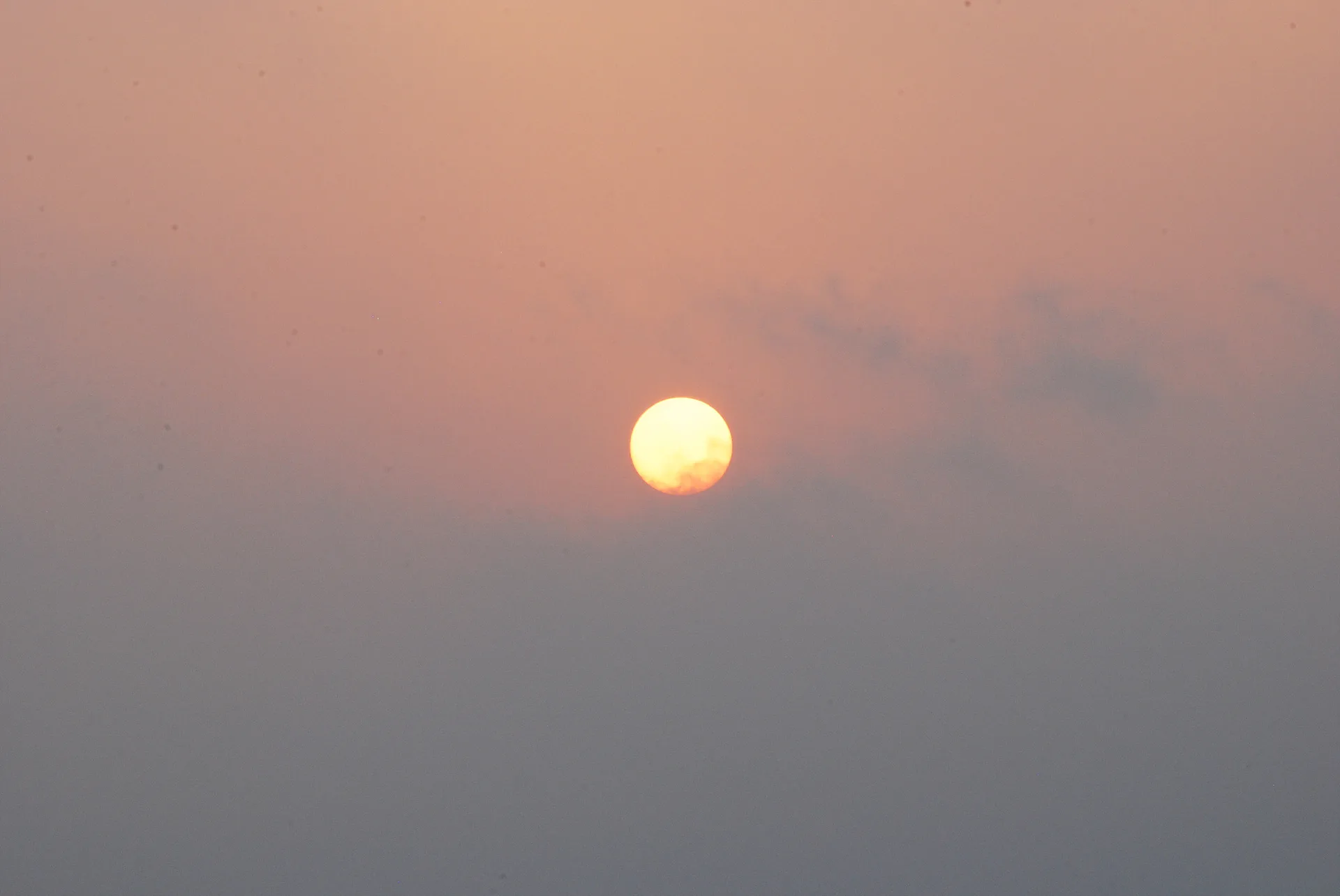 은은한 핑크빛 하늘을 수놓은 둥근 달의 여유 · Mahabalipuram, 타밀나두, 인도 · 2009-04-24