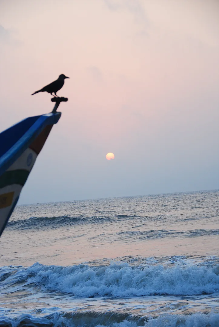 해질녘 바다 위 배 끝에 앉은 새의 실루엣 · Mahabalipuram, 타밀나두, 인도 · 2009-04-24
