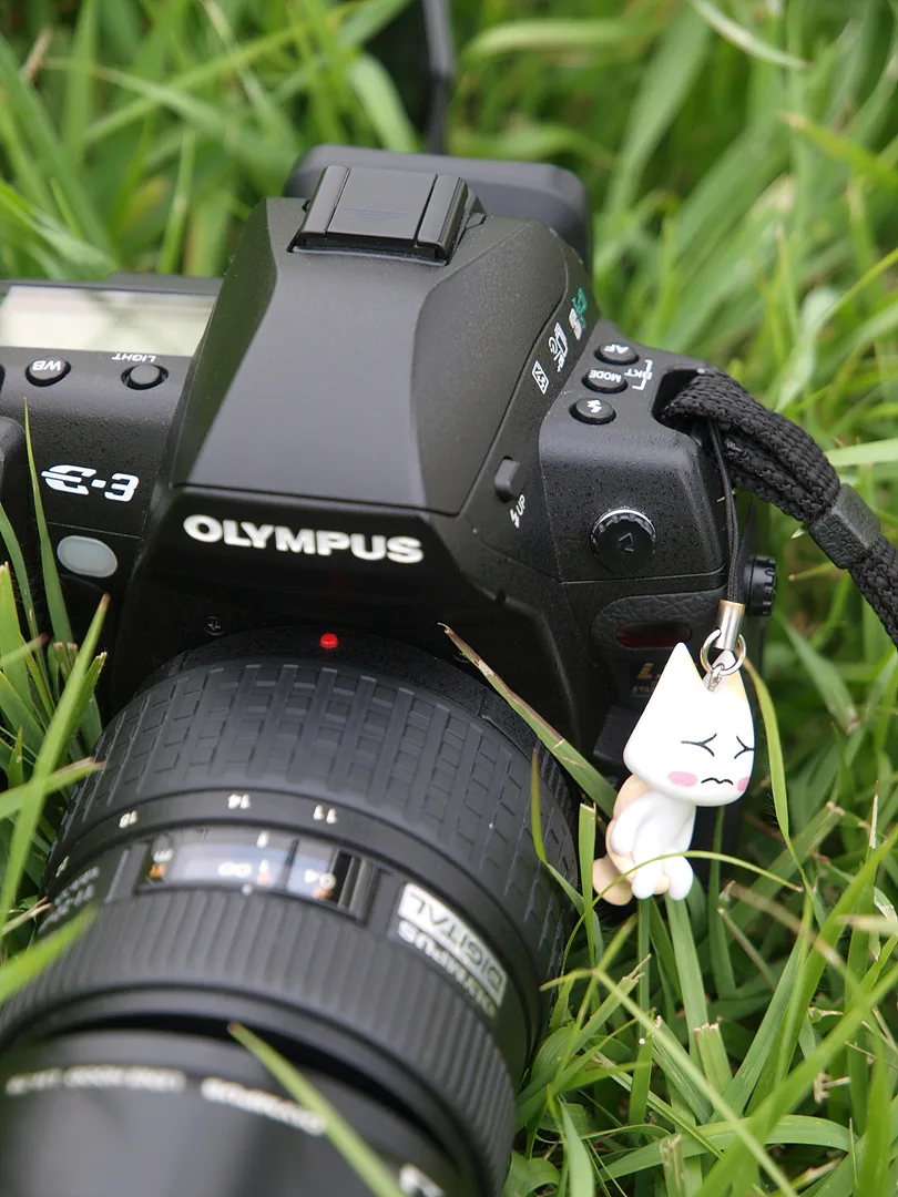 푸른 잔디 위 올림푸스 DSLR 카메라 · 2009-09-06