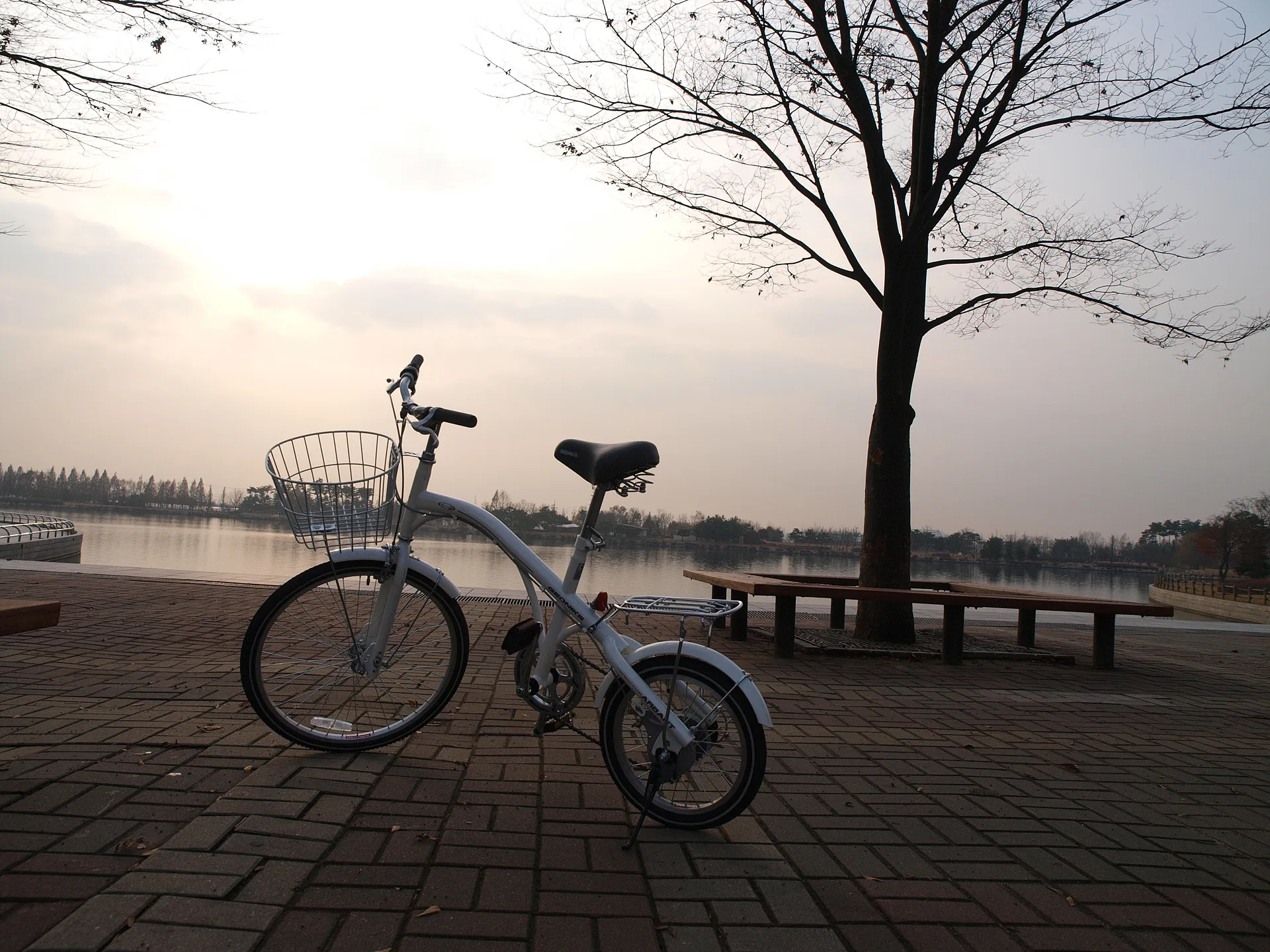 해 질 녘 강변의 여유, 하얀 자전거 산책 · 2009-11-26