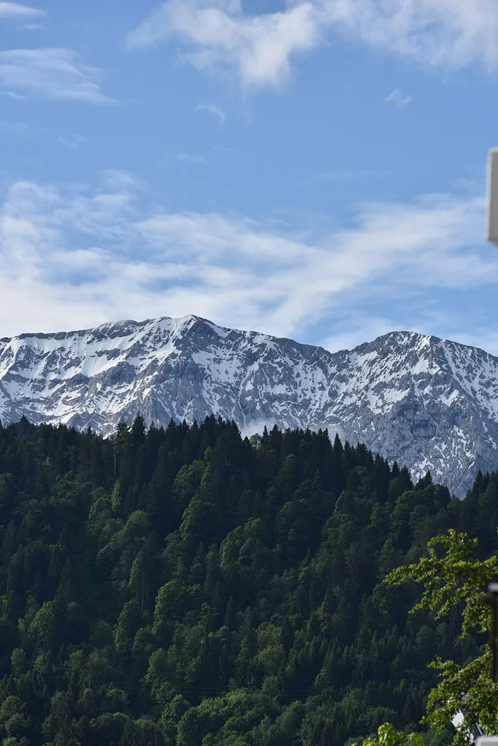 푸른 숲과 대비되는 설산의 웅장한 풍경 · Zugspitze, 가르미슈파르텐키르헨, 바이에른, 독일 · 2016-05-31