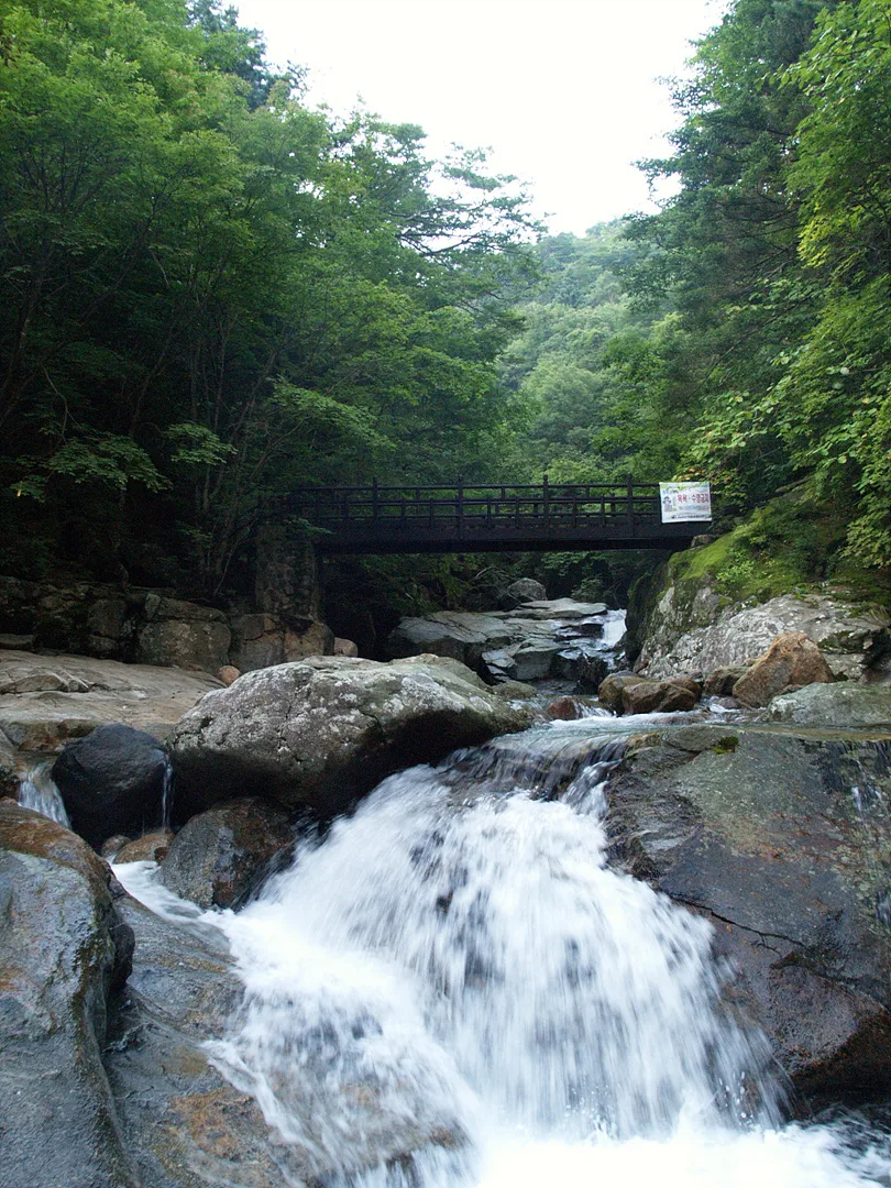 여름 숲속의 시원한 계곡과 나무다리 풍경 · 2007-08-18