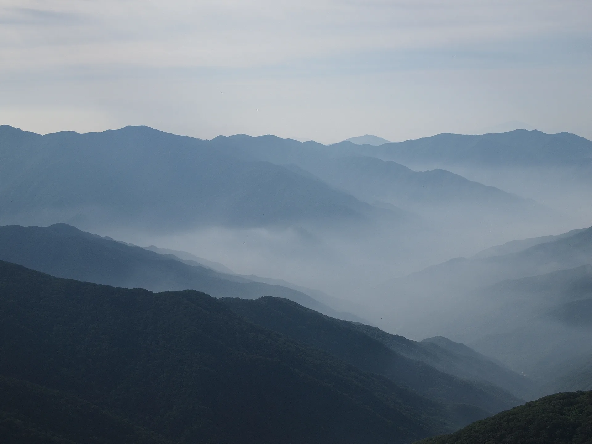 푸른 안개 속에 잠긴 겹겹의 산 능선 · 2009-07-22