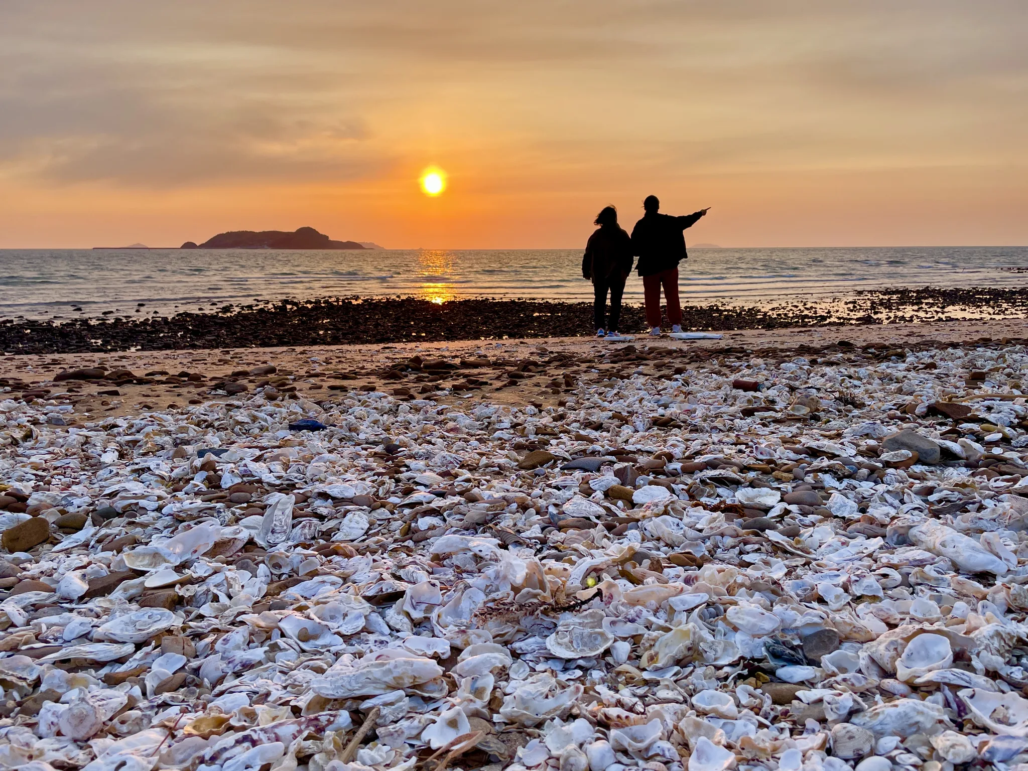 충남 바다의 황금빛 노을과 조개껍데기 해변 · 충청남도, 대한민국 · 2022-04-02