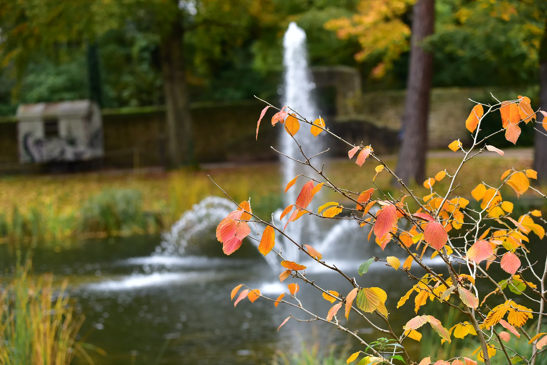 가을빛으로 물든 나뭇잎과 시원한 분수 · Naturpark Hessischer Spessart, Jossgrund, 헤세, 독일 · 2017-10-13
