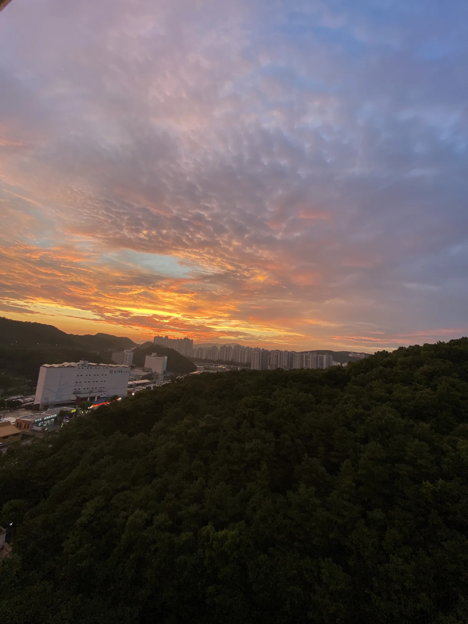 도시 위로 펼쳐진 붉은 노을과 푸른 숲의 조화 · 2021-07-19