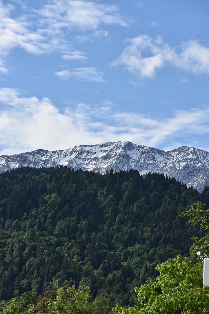 푸른 숲과 설산이 어우러진 웅장한 풍경 · Zugspitze, 가르미슈파르텐키르헨, 바이에른, 독일 · 2016-05-31
