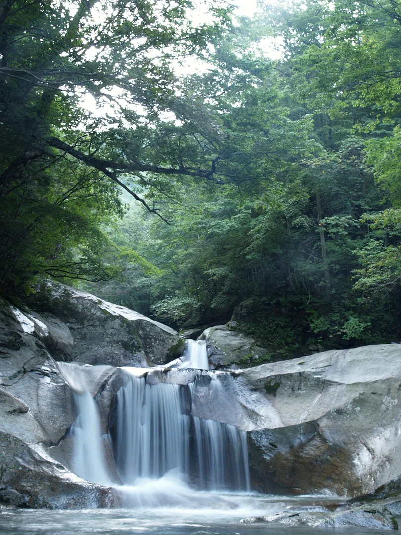 푸른 숲속의 고요한 작은 폭포와 계곡 · 2007-08-18