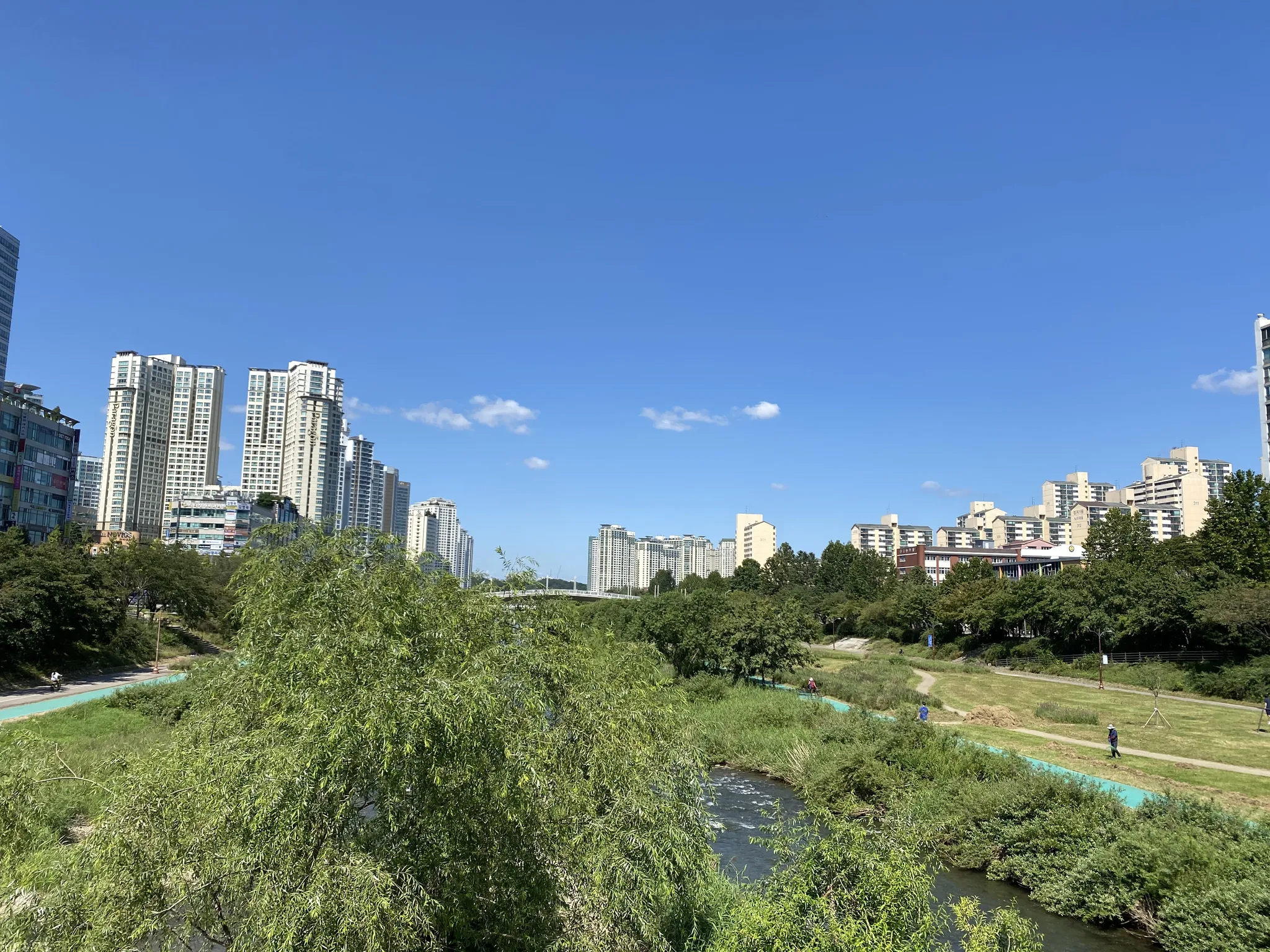 푸른 하늘 아래 도심 속 쉼터, 하천과 고층 빌딩의 조화 · 2020-09-22