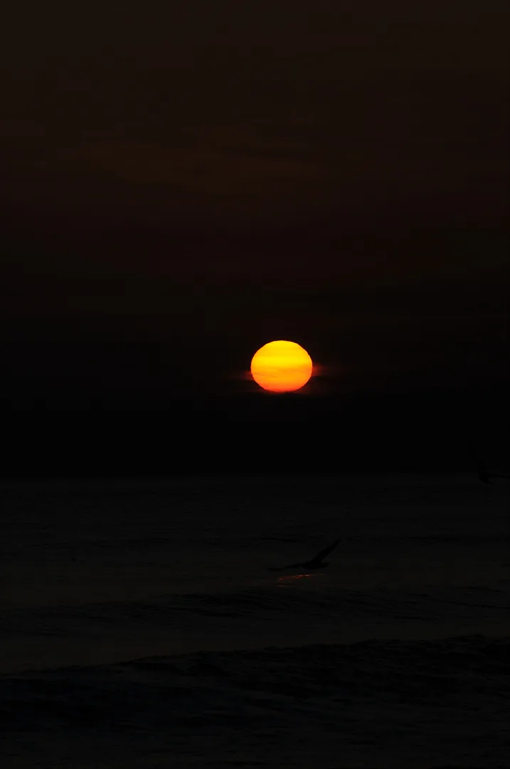어둠 속으로 저무는 붉은 노을과 고요한 바다 · 2010-01-17