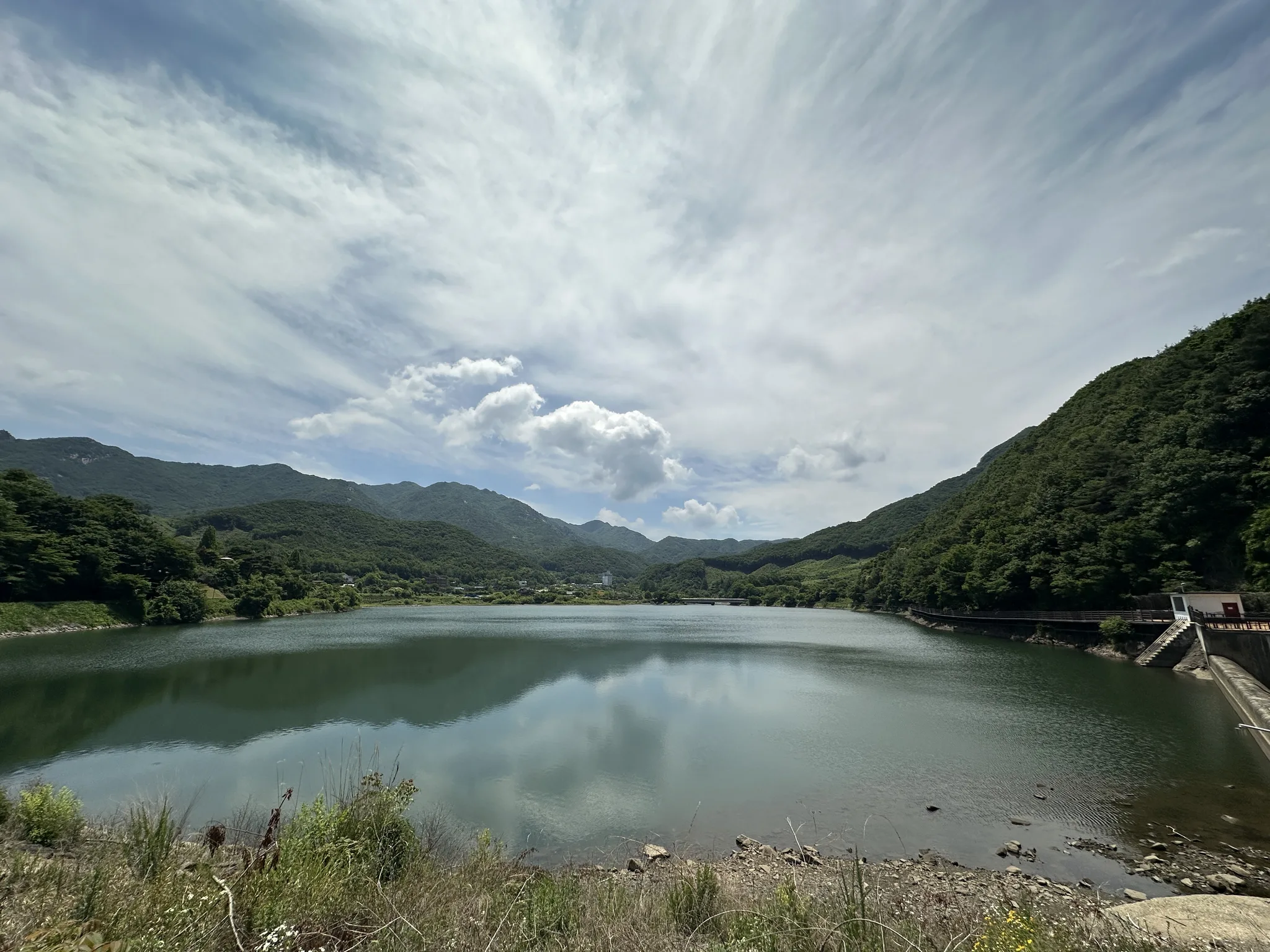 논산의 평온한 호수 풍경 · 논산시, 충청남도, 대한민국 · 2026-06-09