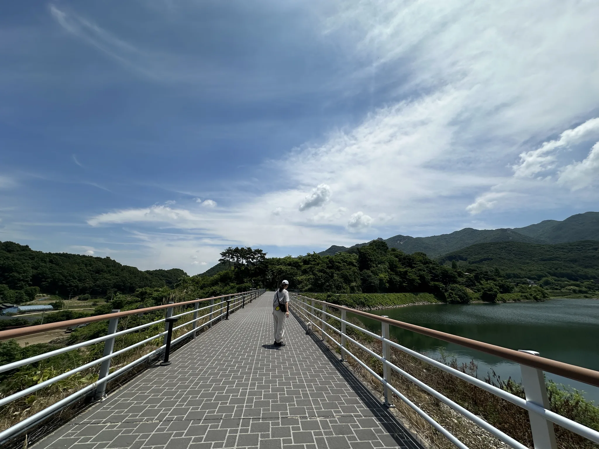 충남 논산의 푸른 자연을 걷는 평온한 산책로 · 논산시, 충청남도, 대한민국 · 2026-06-09