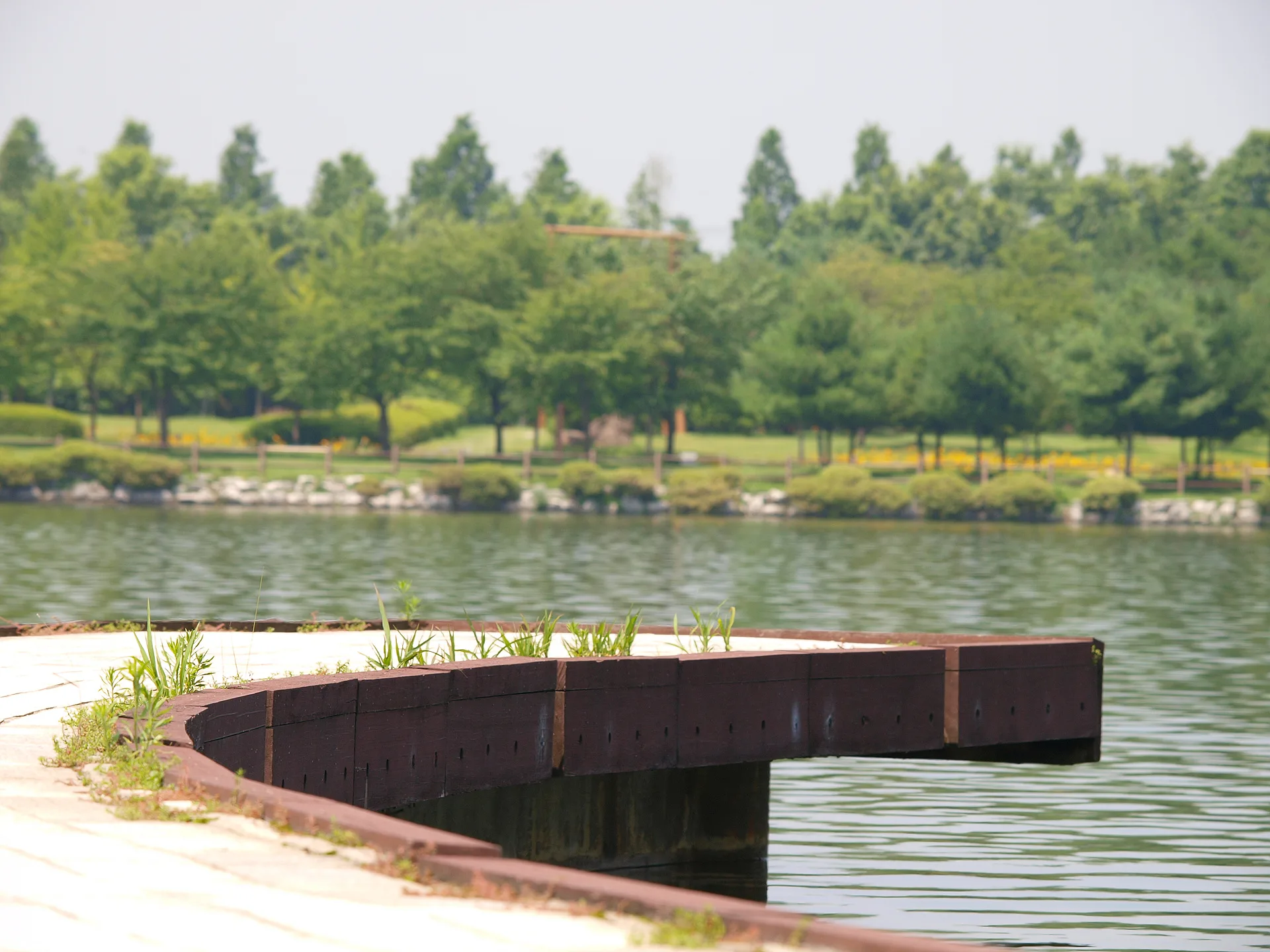 여름날의 평온한 호숫가 산책로 풍경 · 2009-07-16