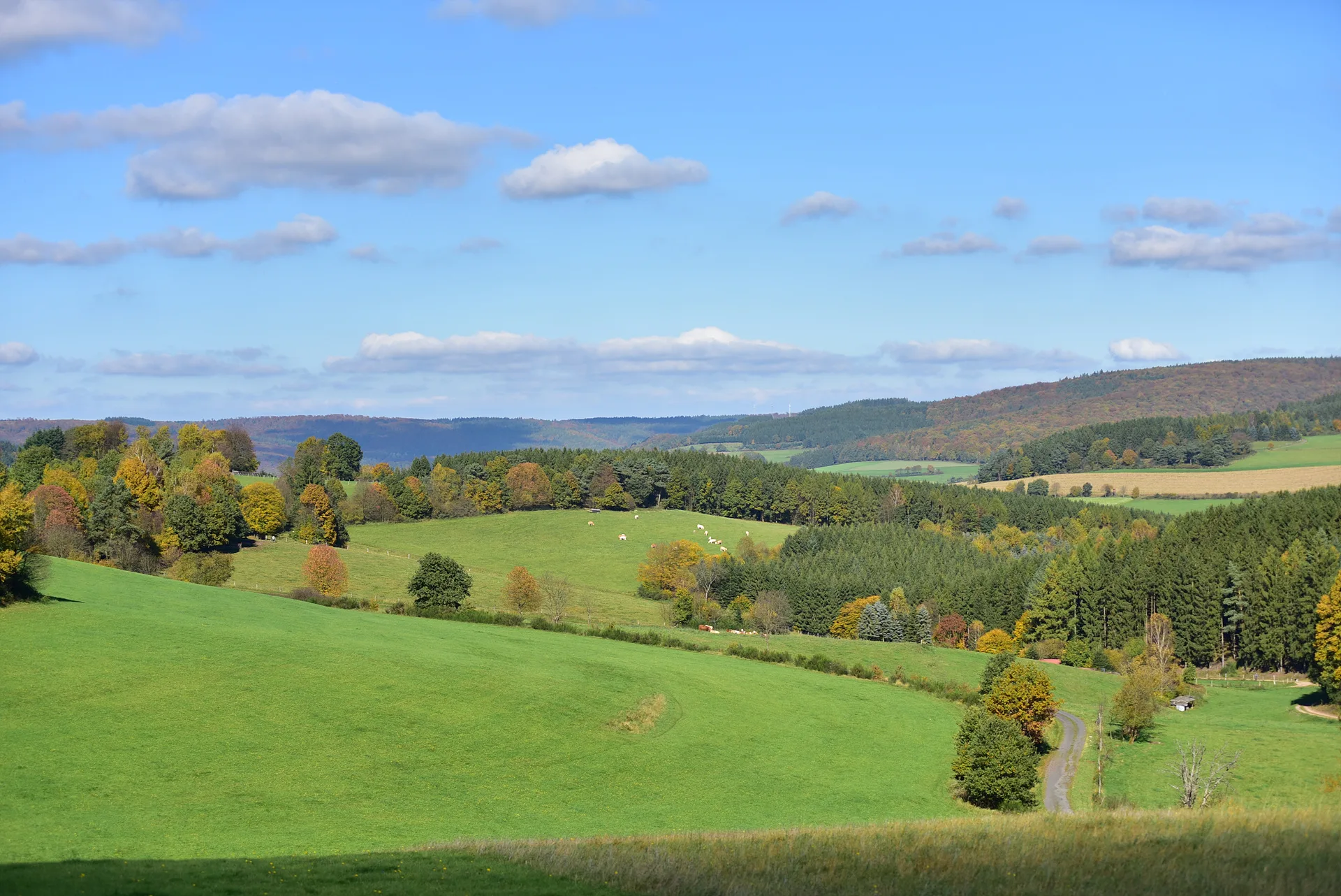 독일 풀다 프란치스코 수도원의 가을 풍경 · Franziskanerkloster Frauenberg, 풀다, 헤세, 독일 · 2017-10-13