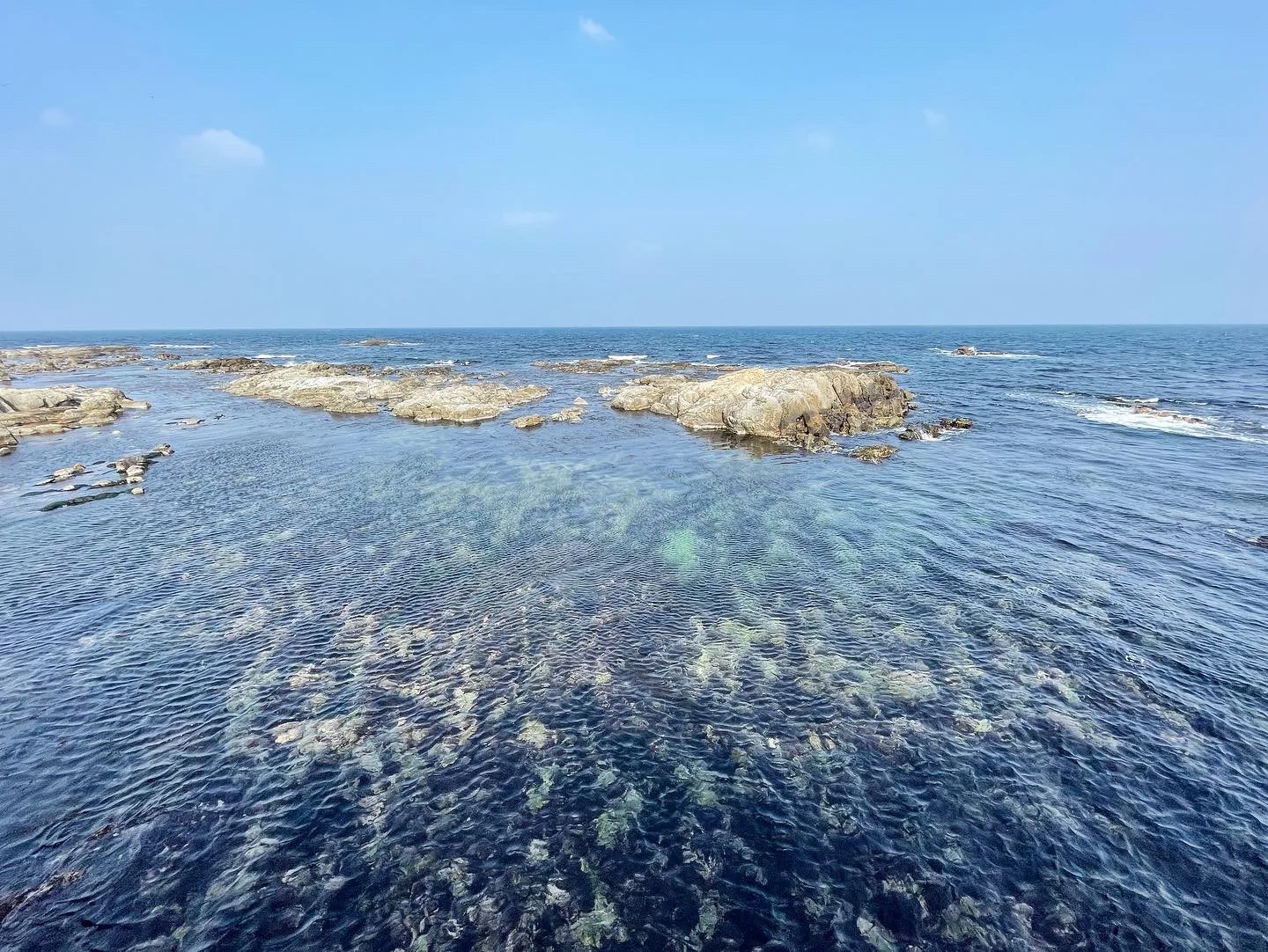 투명한 바다와 거친 바위가 어우러진 해안 풍경 · 포항시, 경상북도, 대한민국 · 2022-02-13