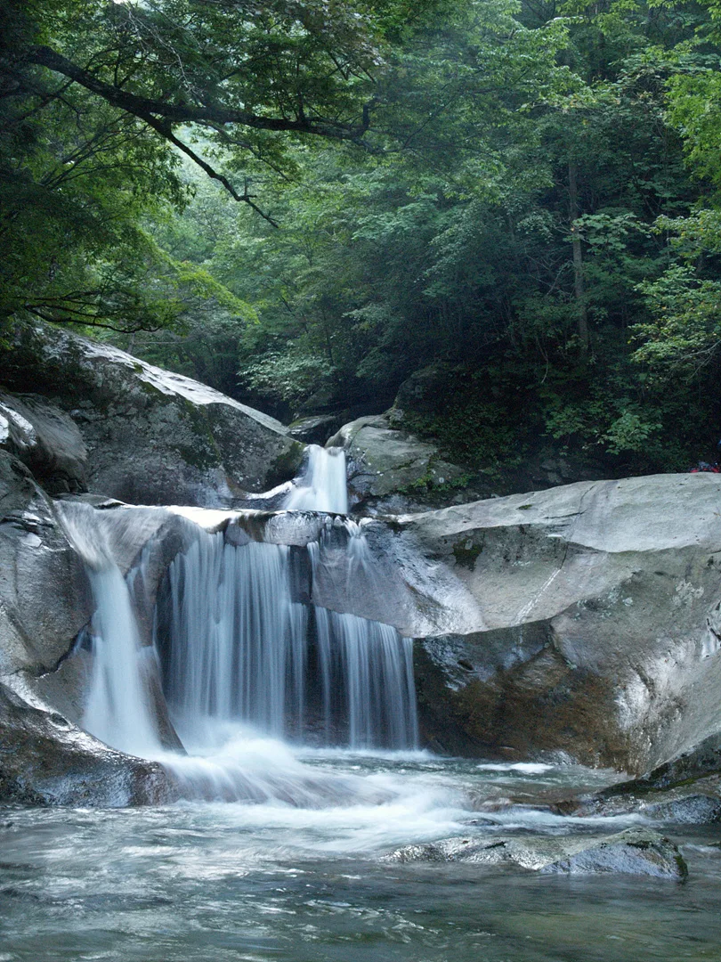 푸른 숲속의 평온한 계곡과 하얀 폭포 · 2007-08-18