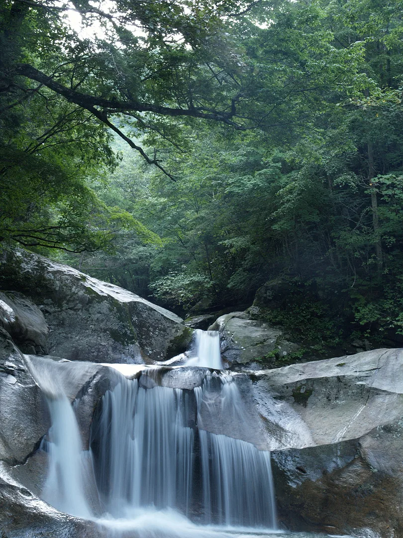 깊은 숲속의 고요함을 담은 신비로운 계곡 폭포 · 2007-08-18