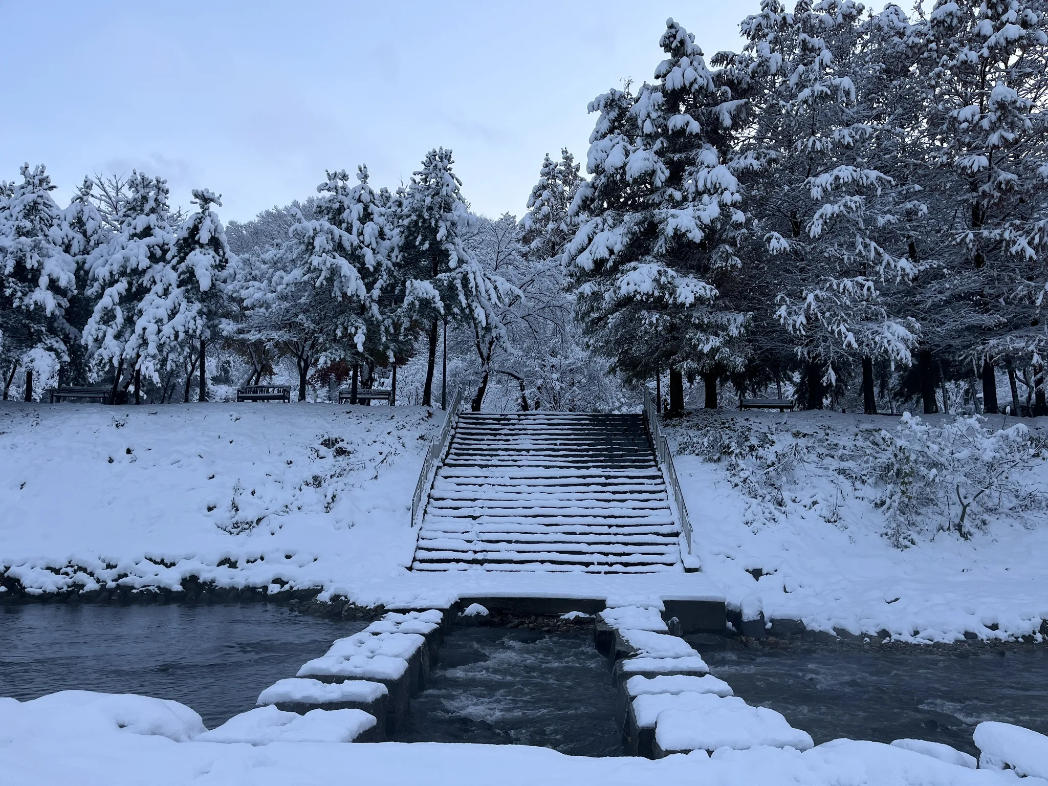 눈 덮인 용인의 고요한 겨울 계단 풍경 · 용인시, 경기도, 대한민국 · 2024-11-27