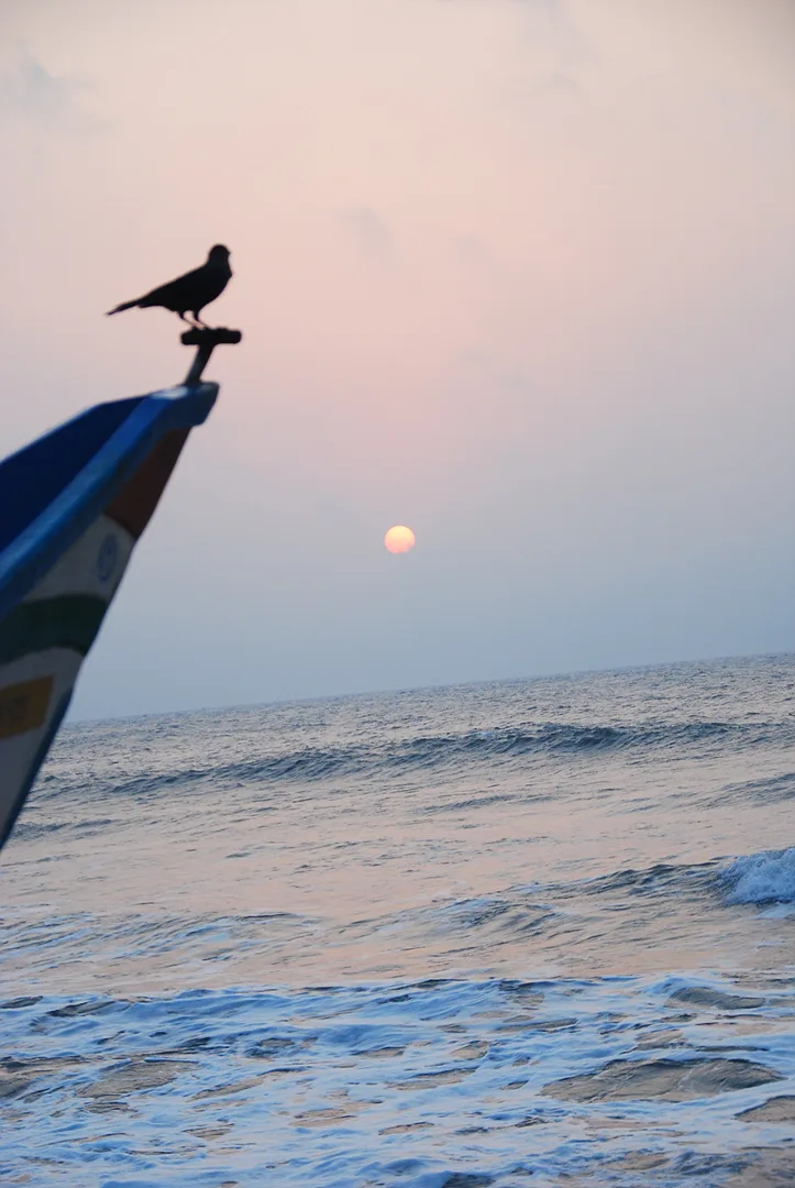 해 질 녘 바다와 배 끝에 앉은 새의 실루엣 · Mahabalipuram, 타밀나두, 인도 · 2009-04-24
