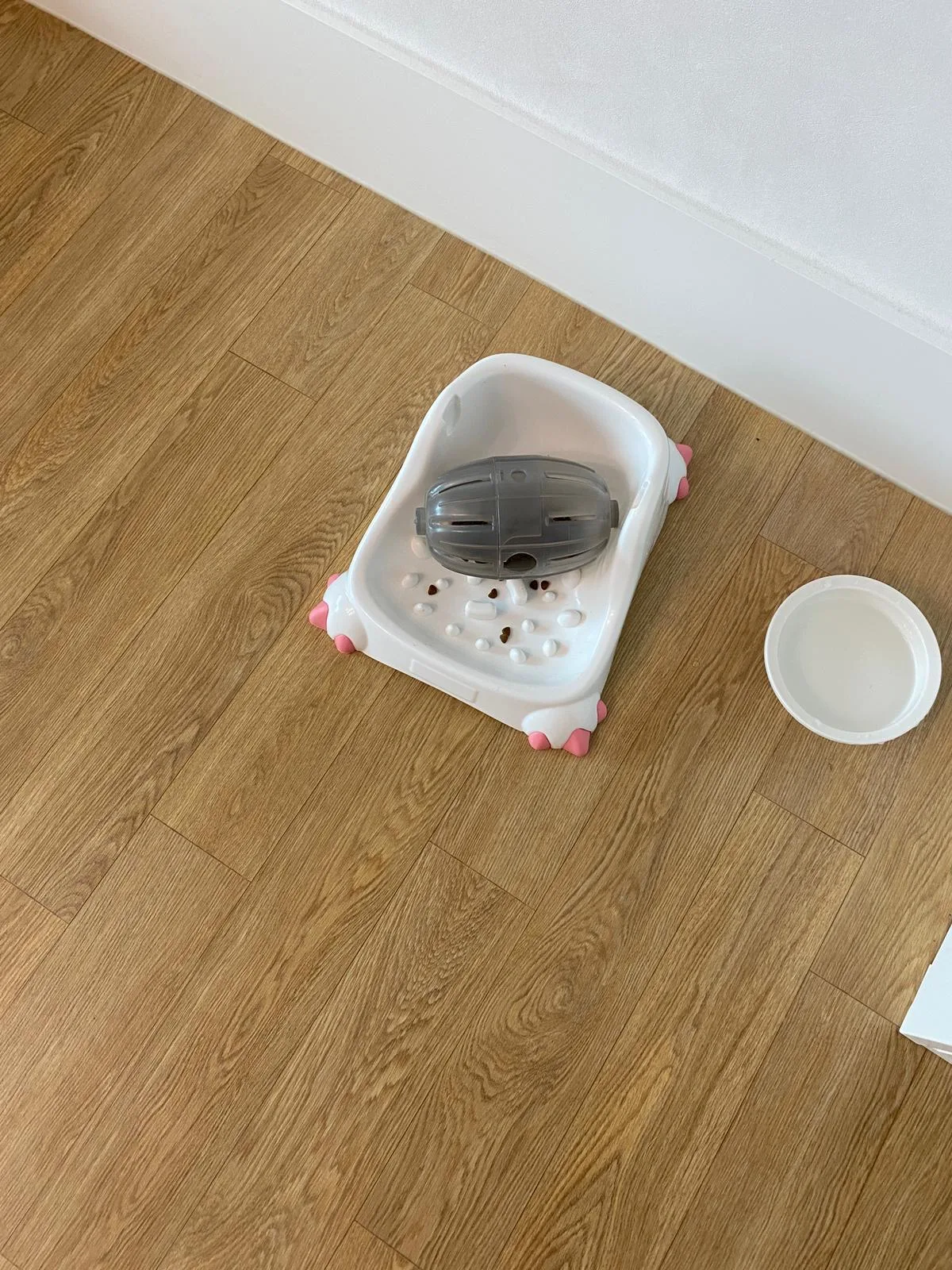 반려동물을 위한 아늑한 전용 욕조와 식기 · 2021-07-14