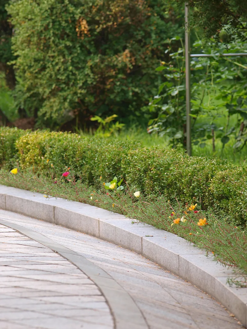 여름날의 싱그러운 정원 산책로 · 2009-07-04
