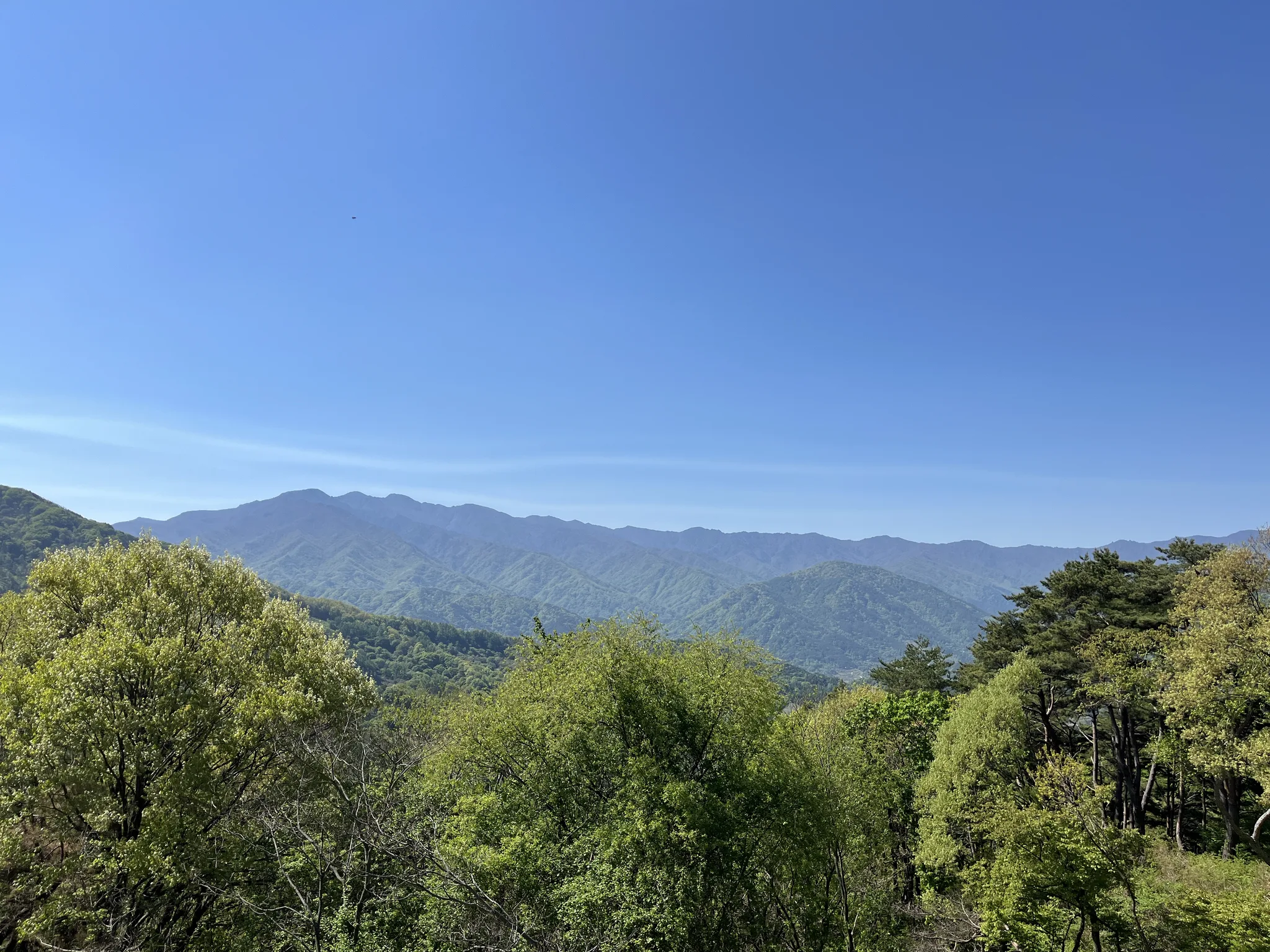 푸른 하늘 아래 펼쳐진 경남의 싱그러운 산세 · 경상남도, 대한민국 · 2025-05-02