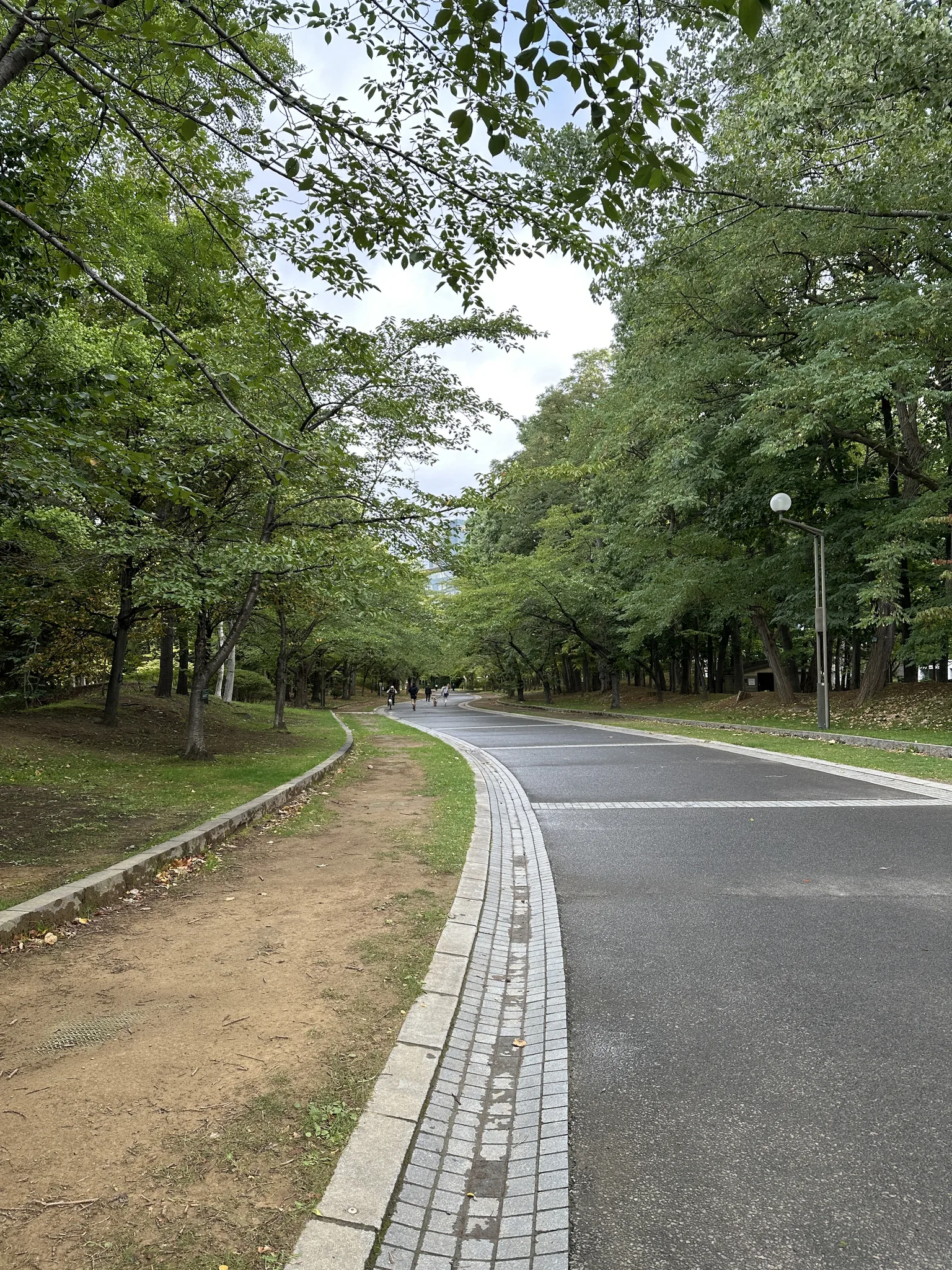가을의 길목, 삿포로 나카지마 공원의 고요한 산책로 · 나카지마공원, 삿포로시, 홋카이도, 일본 · 2025-10-09