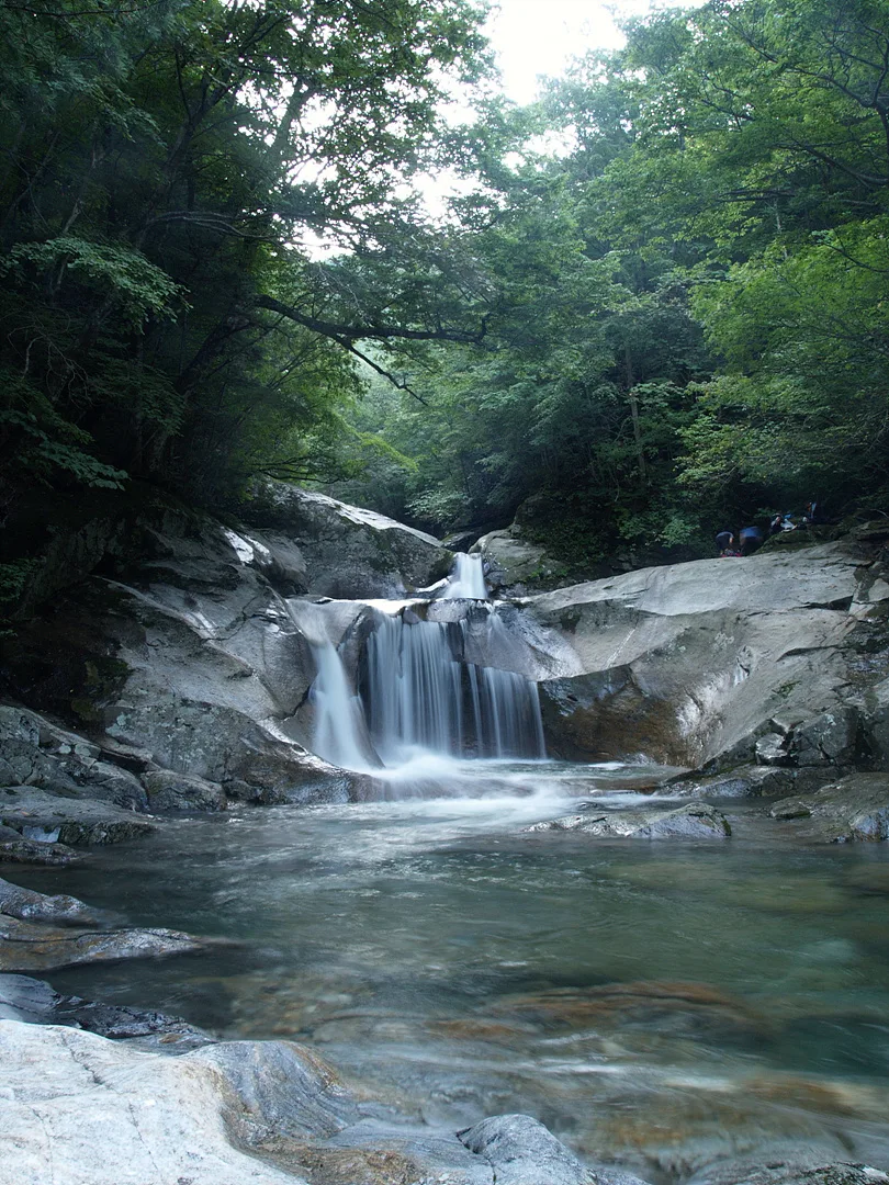 푸른 숲속 시원하게 쏟아지는 계곡의 물줄기 · 2007-08-18