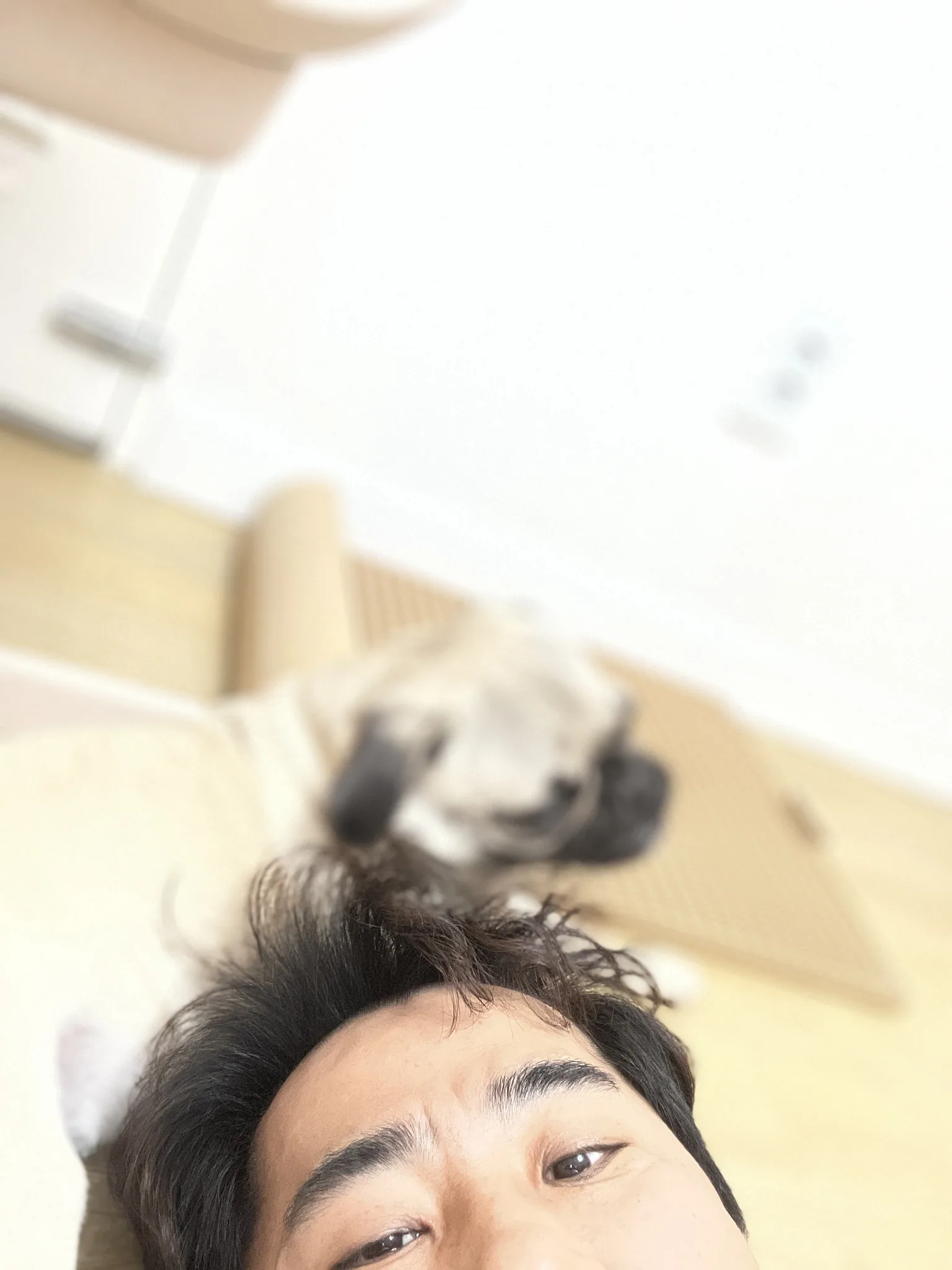 경기도 용인에서 함께하는 고양이와의 나른한 오후 · 용인시, 경기도, 대한민국 · 2022-02-25