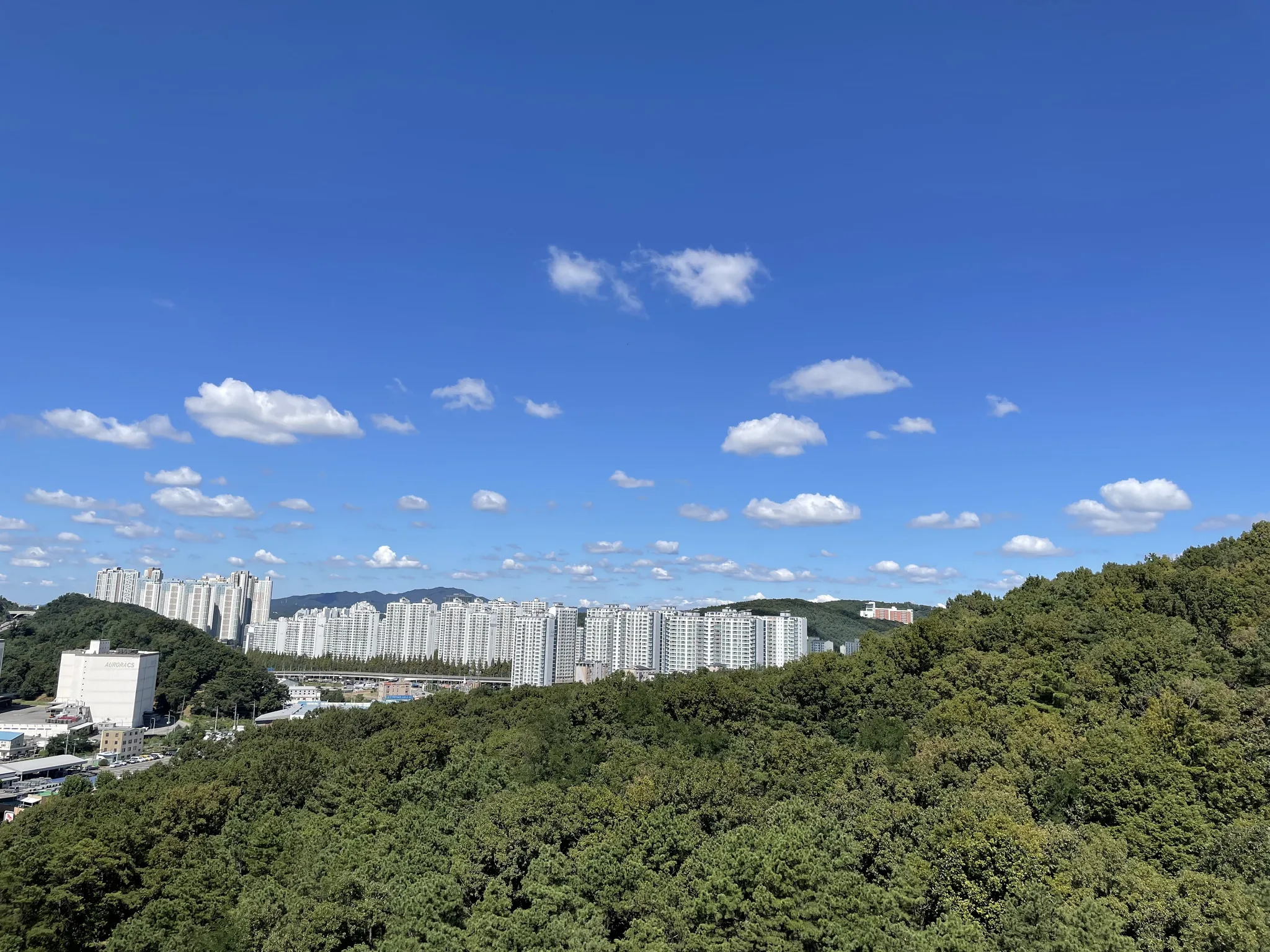 푸른 하늘과 숲이 어우러진 용인시 도시 풍경 · 대우아파트, 용인시, 경기도, 대한민국 · 2021-09-18