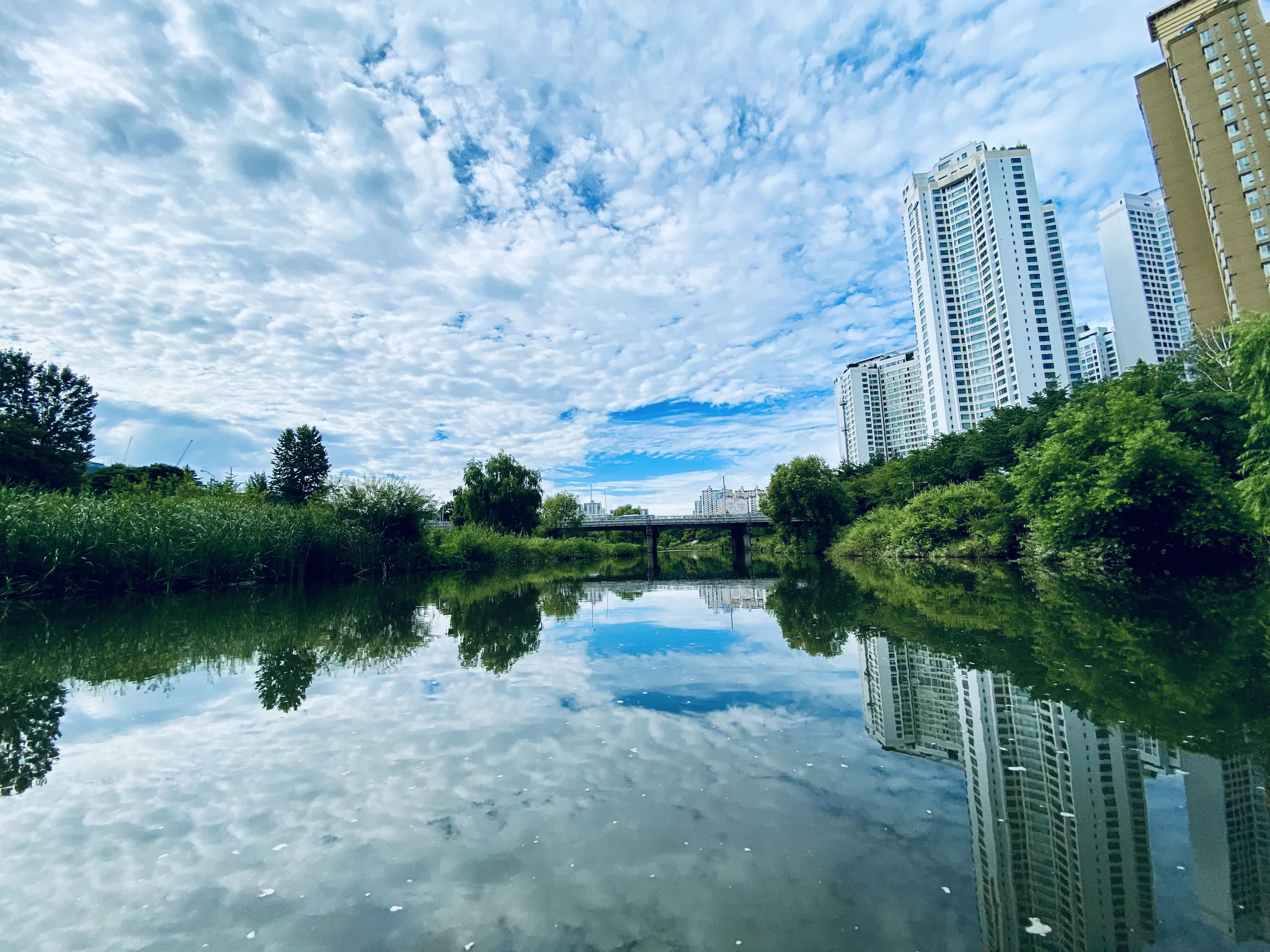 푸른 하늘과 고층 건물이 어우러진 도심 속 수변 풍경 · 2020-07-15