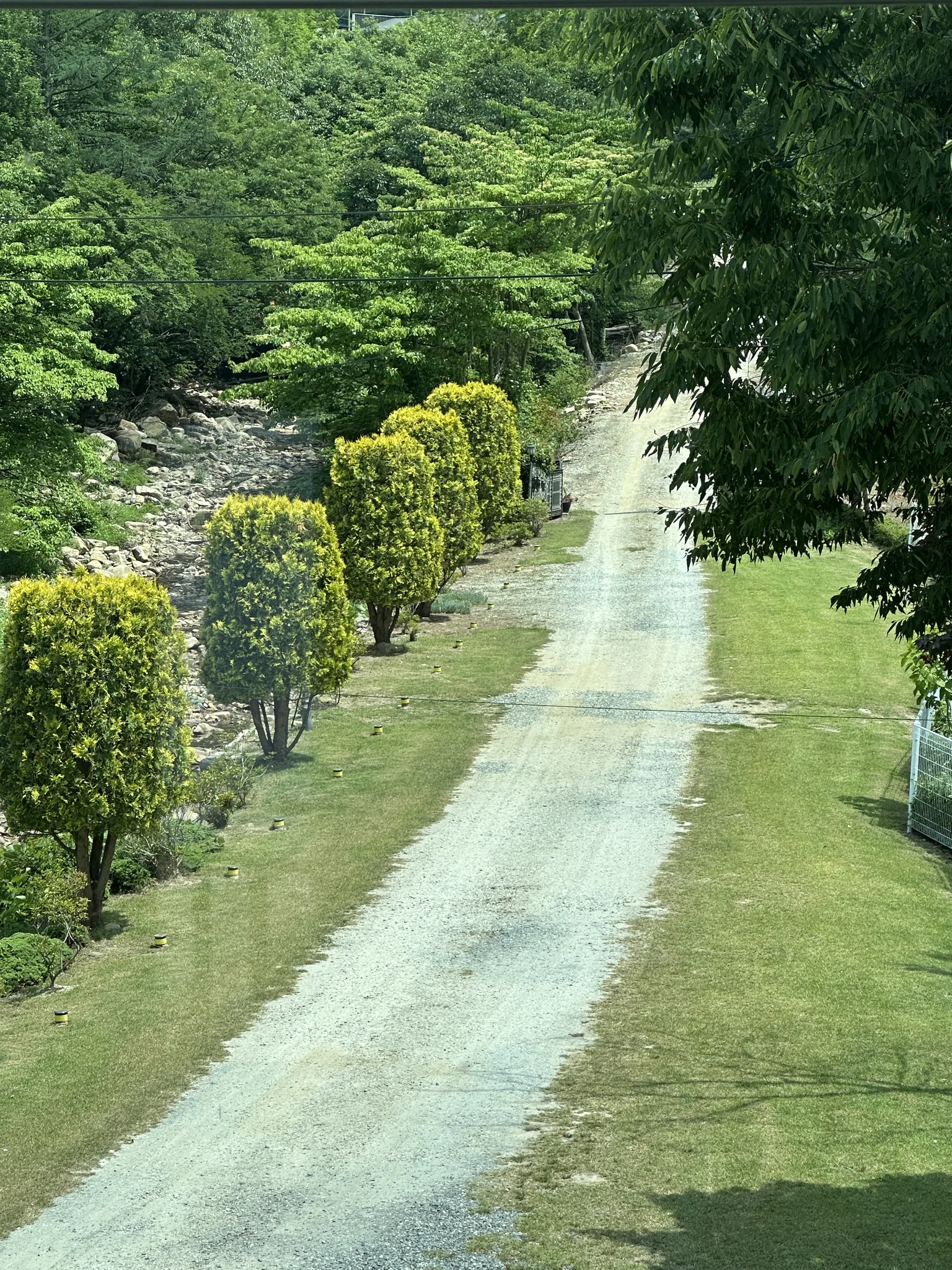 논산의 싱그러운 시골길 · 논산시, 충청남도, 대한민국 · 2026-06-09