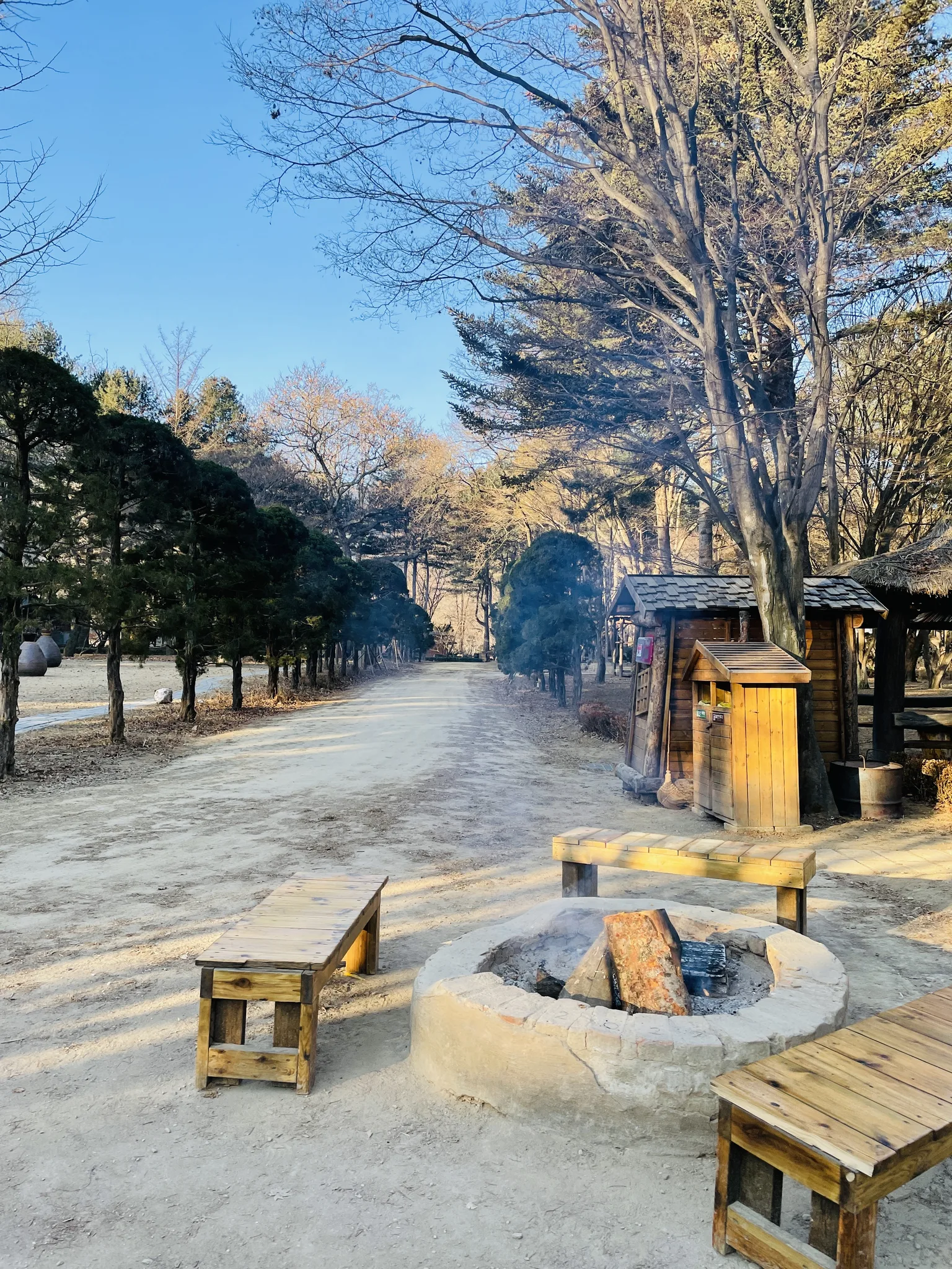 춘천의 겨울 햇살이 머무는 고요한 숲길 · 춘천시, 강원특별자치도, 대한민국 · 2022-01-01