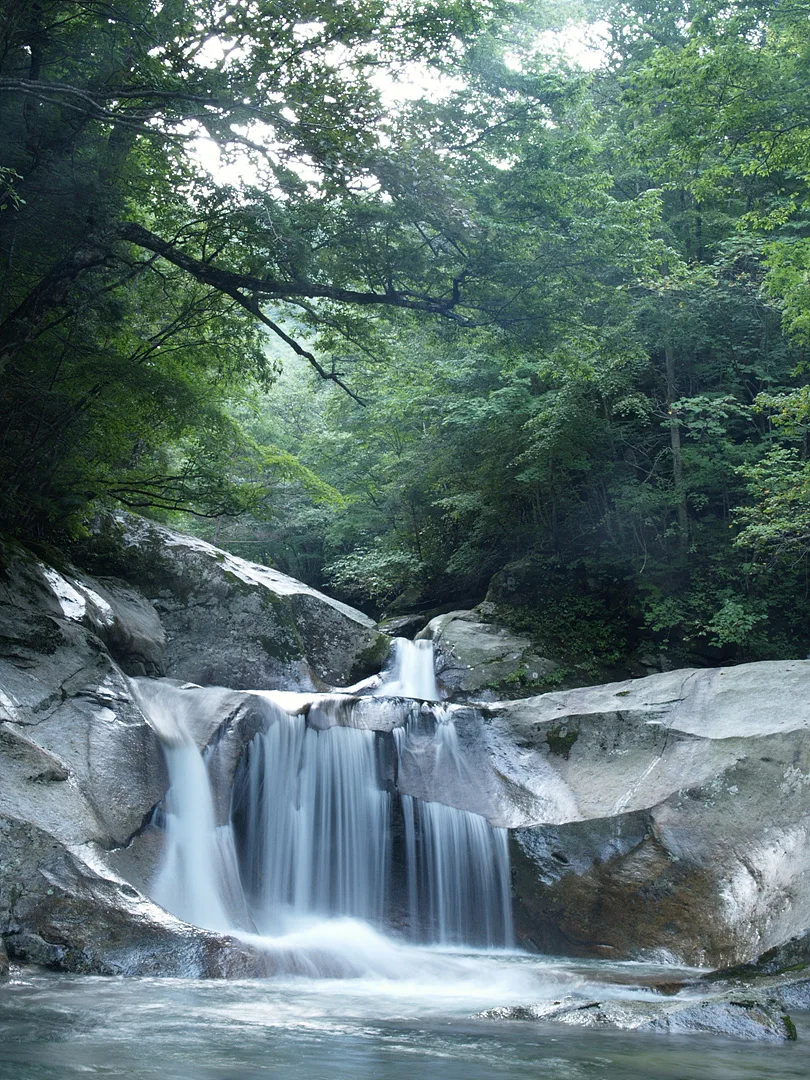 깊은 숲속 신비로운 은빛 폭포의 물줄기 · 2007-08-18