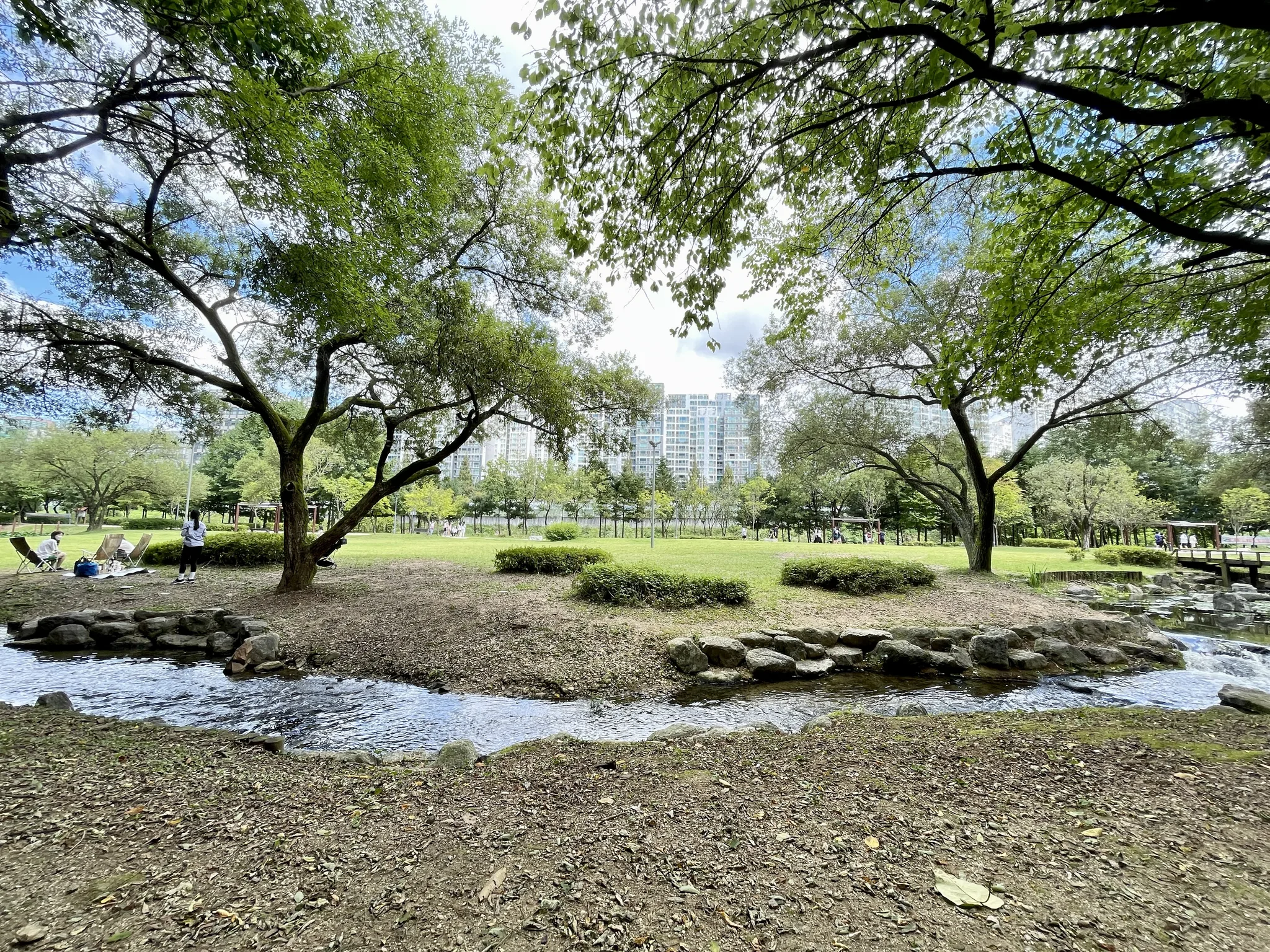 용인시의 평화로운 가을 공원 풍경 · 용인시, 경기도, 대한민국 · 2022-09-19
