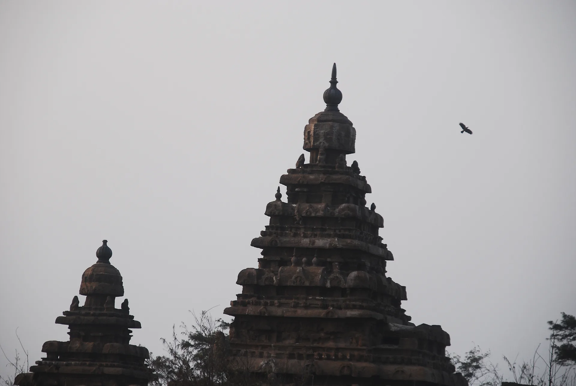 안개 속에 잠긴 고요한 고대 건축물의 실루엣 · Mahabalipuram, 타밀나두, 인도 · 2009-04-24