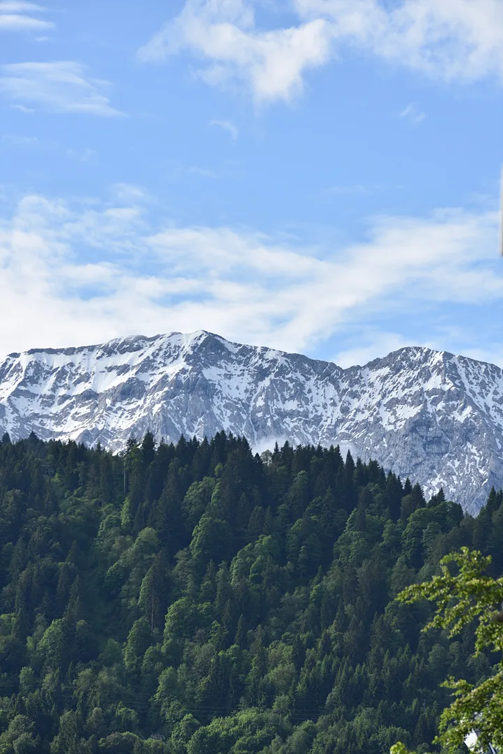 푸른 숲과 대비되는 웅장한 설산의 풍경 · Zugspitze, 가르미슈파르텐키르헨, 바이에른, 독일 · 2016-05-31