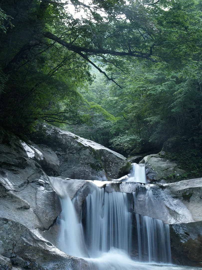 깊은 숲속 신비로운 계곡과 하얀 폭포수 · 2007-08-18