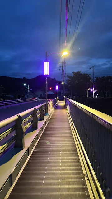 푸른 밤을 밝히는 보랏빛 조명의 다리 산책로